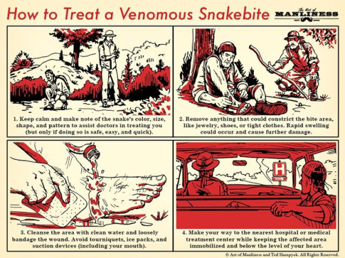 Treat a deadly snakebite